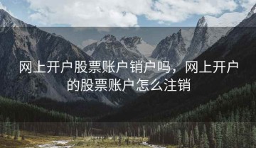 网上开户股票账户销户吗，网上开户的股票账户怎么注销