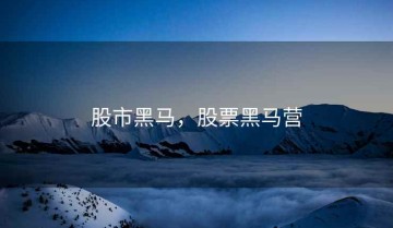股市黑马，股票黑马营