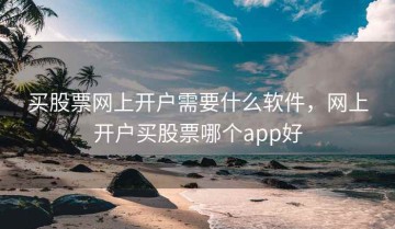 买股票网上开户需要什么软件，网上开户买股票哪个app好
