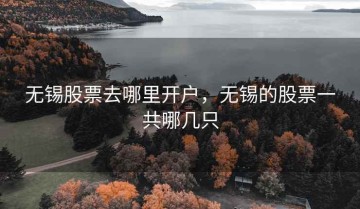 无锡股票去哪里开户，无锡的股票一共哪几只