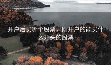 开户后买哪个股票，刚开户的能买什么开头的股票