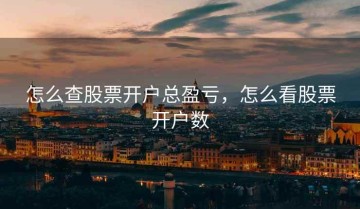 怎么查股票开户总盈亏，怎么看股票开户数