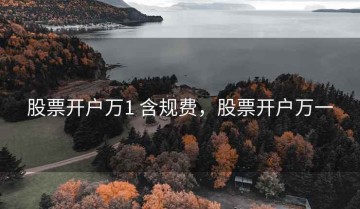 股票开户万1 含规费，股票开户万一