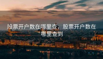 股票开户数在哪里查，股票开户数在哪里查到