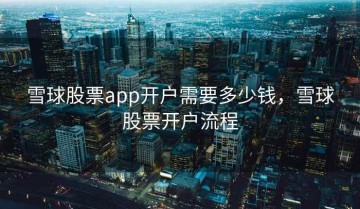 雪球股票app开户需要多少钱，雪球股票开户流程