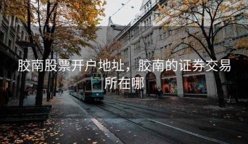 胶南股票开户地址，胶南的证券交易所在哪