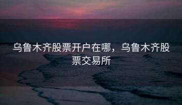 乌鲁木齐股票开户在哪，乌鲁木齐股票交易所