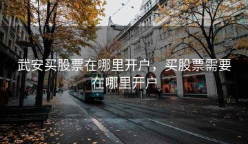 武安买股票在哪里开户，买股票需要在哪里开户