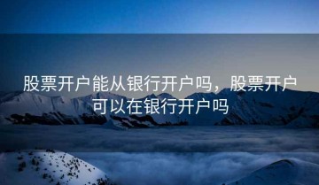 股票开户能从银行开户吗，股票开户可以在银行开户吗