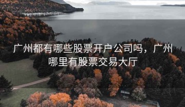 广州都有哪些股票开户公司吗，广州哪里有股票交易大厅