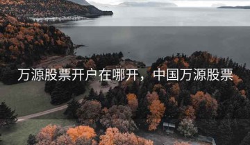 万源股票开户在哪开，中国万源股票