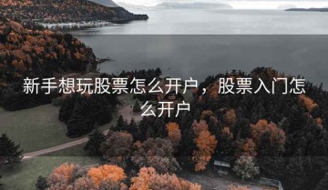 新手想玩股票怎么开户，股票入门怎么开户
