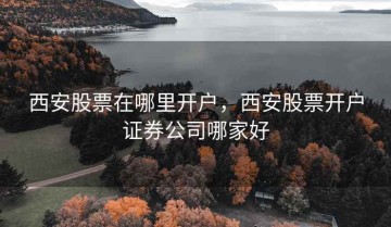 西安股票在哪里开户，西安股票开户证券公司哪家好