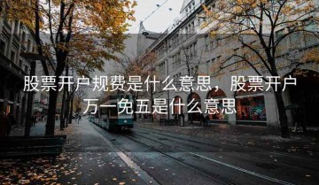 股票开户规费是什么意思，股票开户万一免五是什么意思