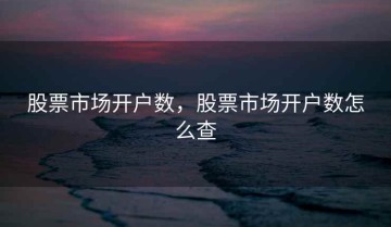 股票市场开户数，股票市场开户数怎么查