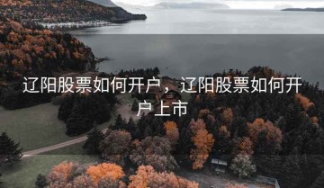 辽阳股票如何开户，辽阳股票如何开户上市