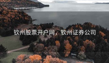 钦州股票开户网，钦州证券公司