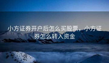 小方证券开户后怎么买股票，小方证券怎么转入资金