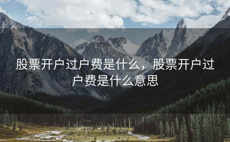 股票开户过户费是什么，股票开户过户费是什么意思