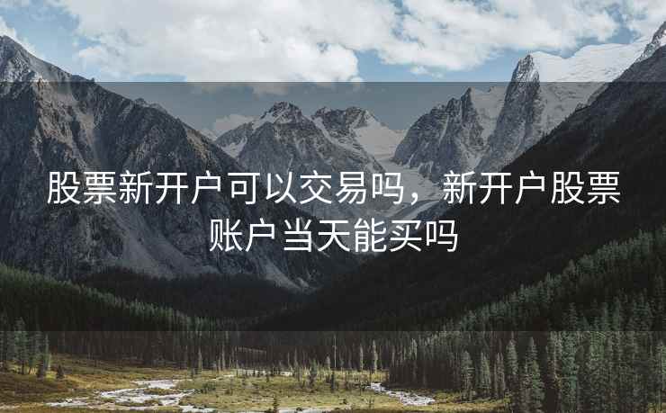 股票新开户可以交易吗，新开户股票账户当天能买吗
