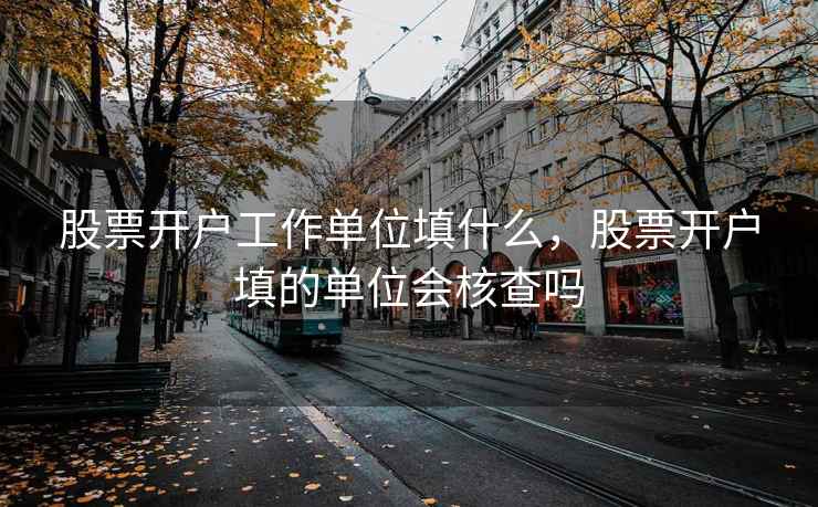 股票开户工作单位填什么，股票开户填的单位会核查吗