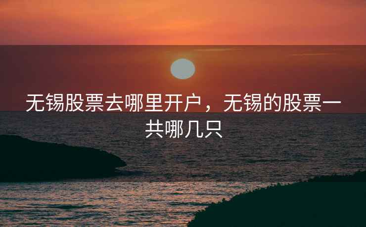 无锡股票去哪里开户，无锡的股票一共哪几只