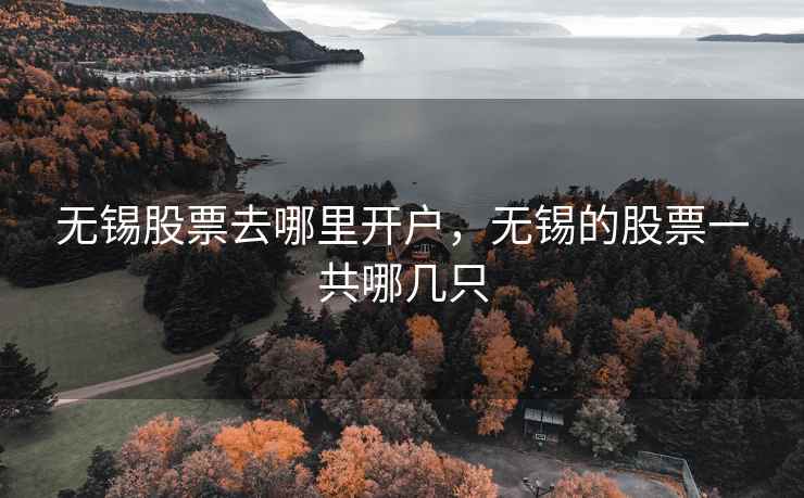 无锡股票去哪里开户，无锡的股票一共哪几只