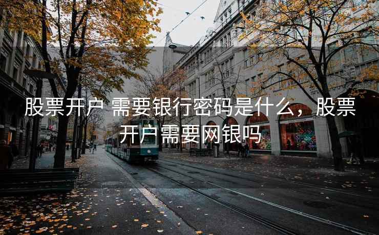 股票开户 需要银行密码是什么，股票开户需要网银吗