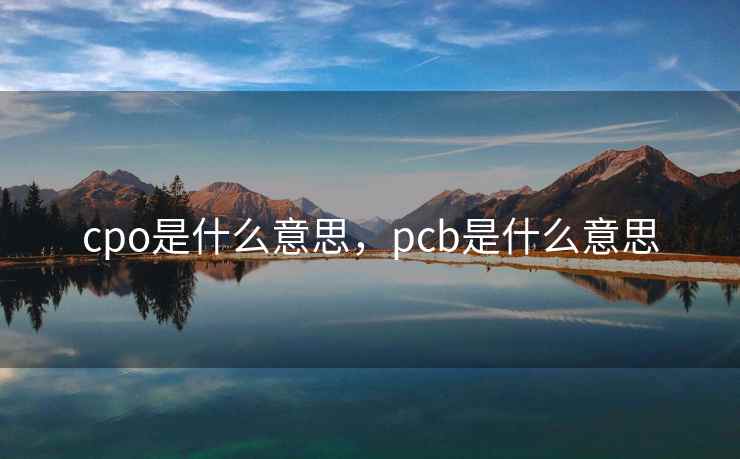 cpo是什么意思，pcb是什么意思