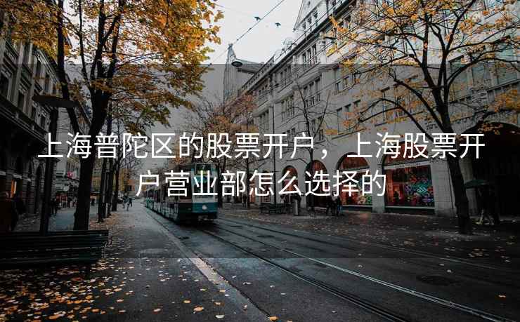 上海普陀区的股票开户，上海股票开户营业部怎么选择的