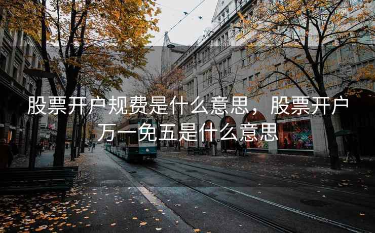 股票开户规费是什么意思，股票开户万一免五是什么意思