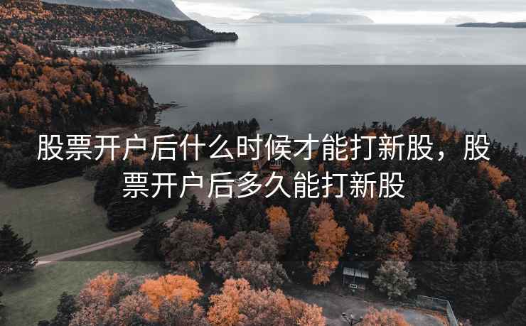 股票开户后什么时候才能打新股，股票开户后多久能打新股