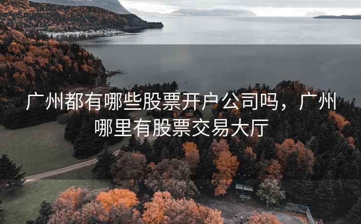 广州都有哪些股票开户公司吗，广州哪里有股票交易大厅