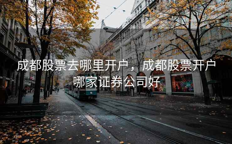 成都股票去哪里开户，成都股票开户哪家证券公司好