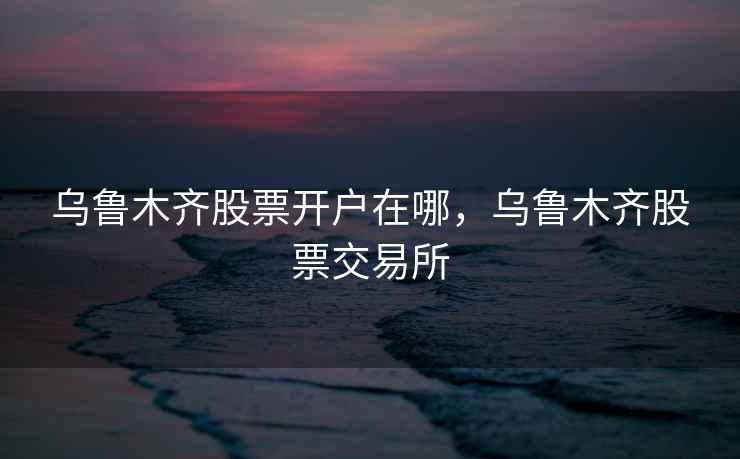 乌鲁木齐股票开户在哪，乌鲁木齐股票交易所