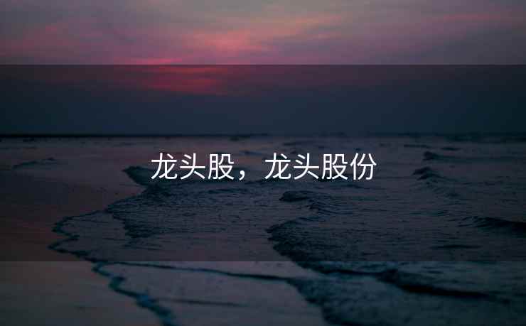 龙头股，龙头股份
