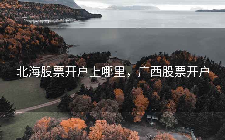 北海股票开户上哪里，广西股票开户