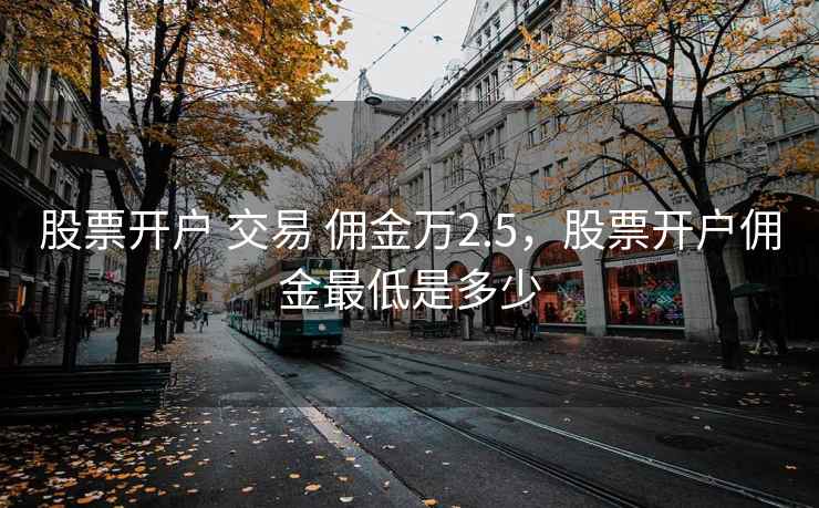 股票开户 交易 佣金万2.5，股票开户佣金最低是多少