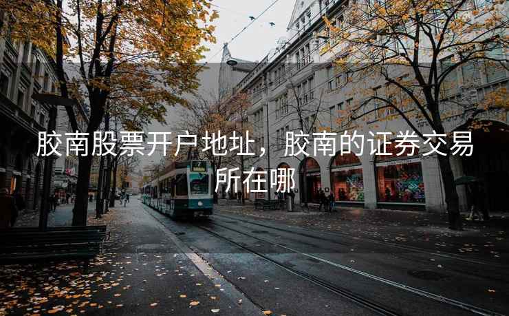 胶南股票开户地址，胶南的证券交易所在哪