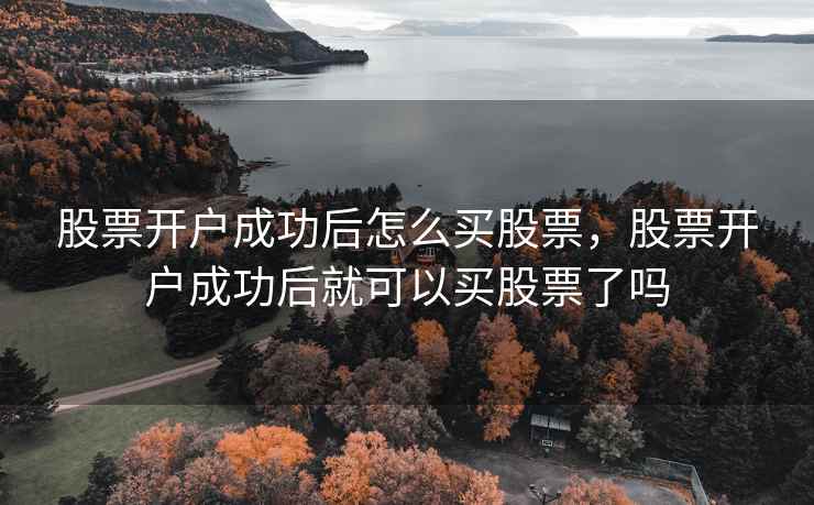 股票开户成功后怎么买股票，股票开户成功后就可以买股票了吗
