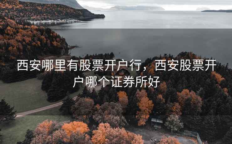 西安哪里有股票开户行，西安股票开户哪个证券所好