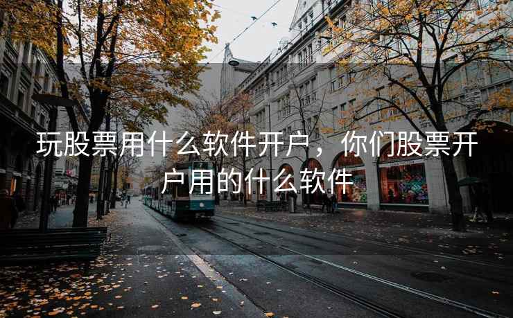 玩股票用什么软件开户，你们股票开户用的什么软件
