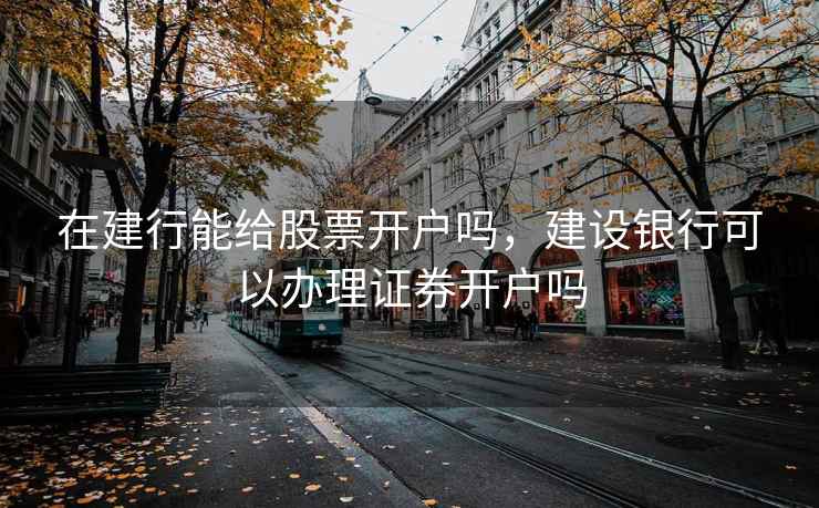 在建行能给股票开户吗，建设银行可以办理证券开户吗