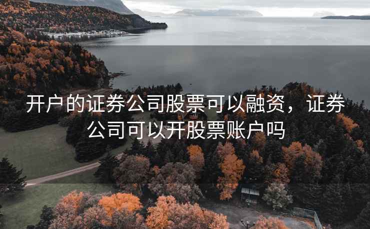开户的证券公司股票可以融资，证券公司可以开股票账户吗