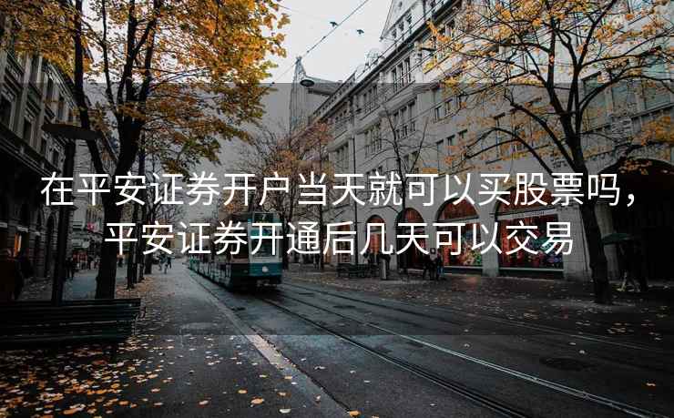 在平安证券开户当天就可以买股票吗，平安证券开通后几天可以交易